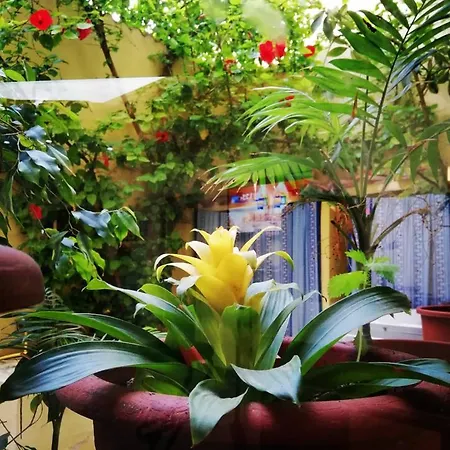 Le Pelagie Hotel